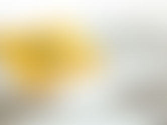 PPP Loan Questions Answered