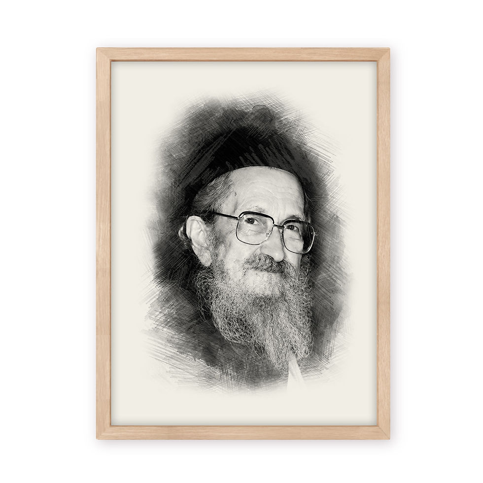 Thumbnail: Rabbi Sholom Noach Berezovsky - Nesivos Shalom