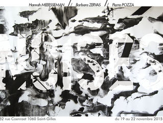 Les artistes plasticiens Barbara Zervas, Pierre Pozza et Hannah Meersseman exposent.
