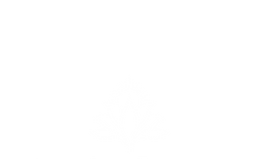 LiveOneEssenceWhiteV1_edited_edited.png