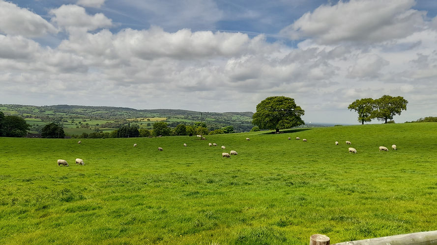 RPerry - Staff Moorlands Leek.jpg
