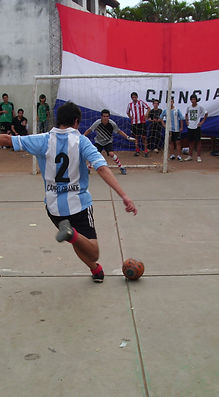 OLIMPIADAS 2013 (DEPORTIVA)