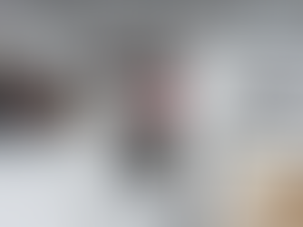 Merry Christmas from JJ Bison!