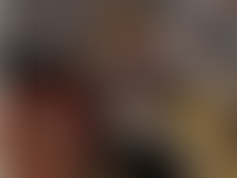 Happy New Year from JJ Bison!