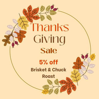 Thanksgiving Sale!