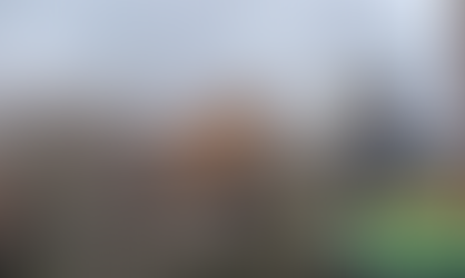 How Covid-19 Has Impacted the Bison Industry