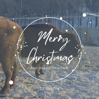 Merry Christmas 2024!