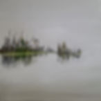 20240101_125308.jpeg