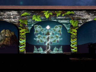 Viñedos Donato (Video Mapping)