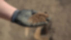 Thumbnail: DESERT IMPACT SOIL BLEND