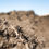 Thumbnail: ECOGROW COMPOST