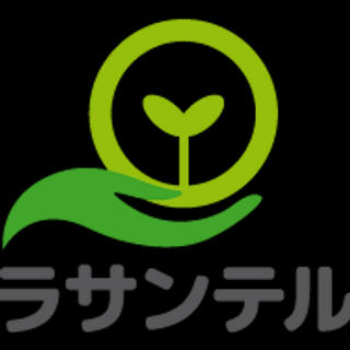 執筆者の写真: 株式会社ラサンテル