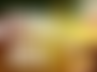 Forex Trading - Like a BOSS!