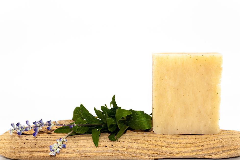Thumbnail: Eucalyptus Lime  Body and Shampoo Soap