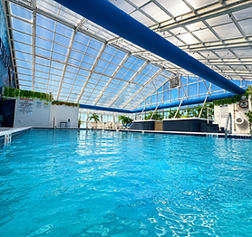 Indoor Pool 1