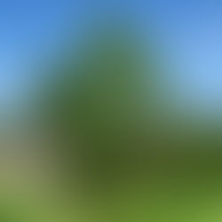 Stairway to Hell: The Ghost Town of Tagus, North Dakota