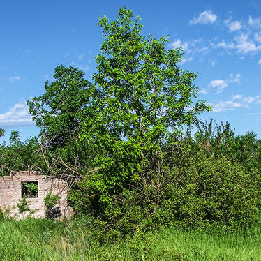 Stairway to Hell: The Ghost Town of Tagus, North Dakota