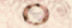 Sitio web_edited.jpg