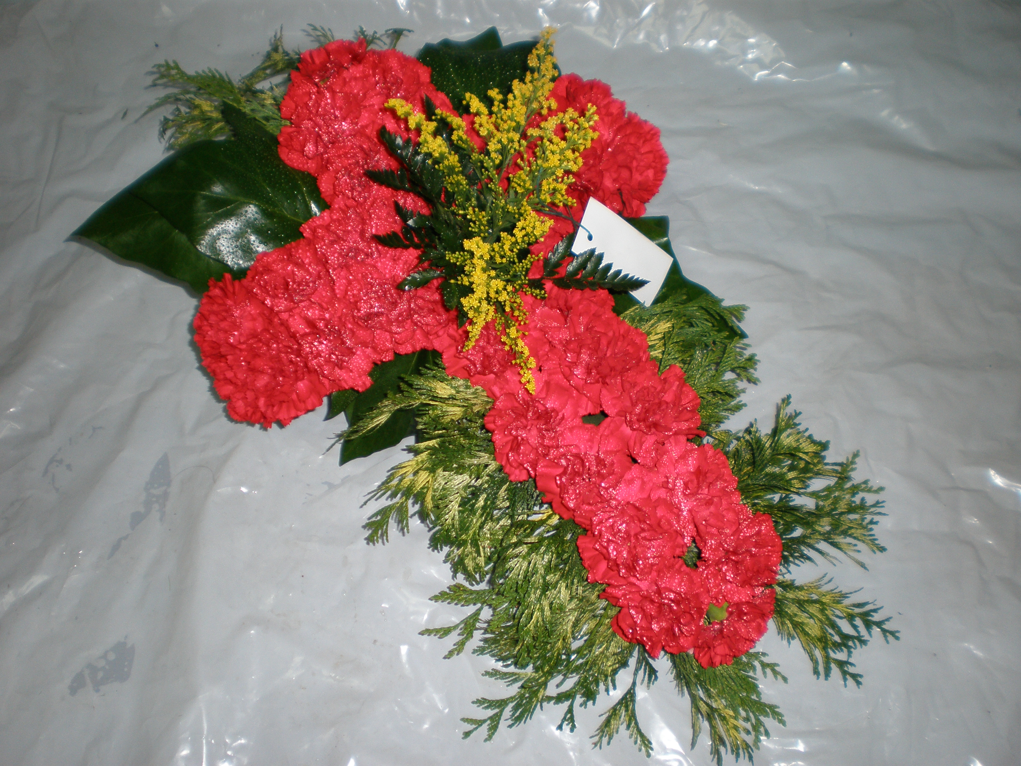 Funeraria - Modelo F03
