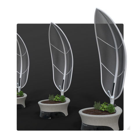 Aether Biomimetic Infrastructure