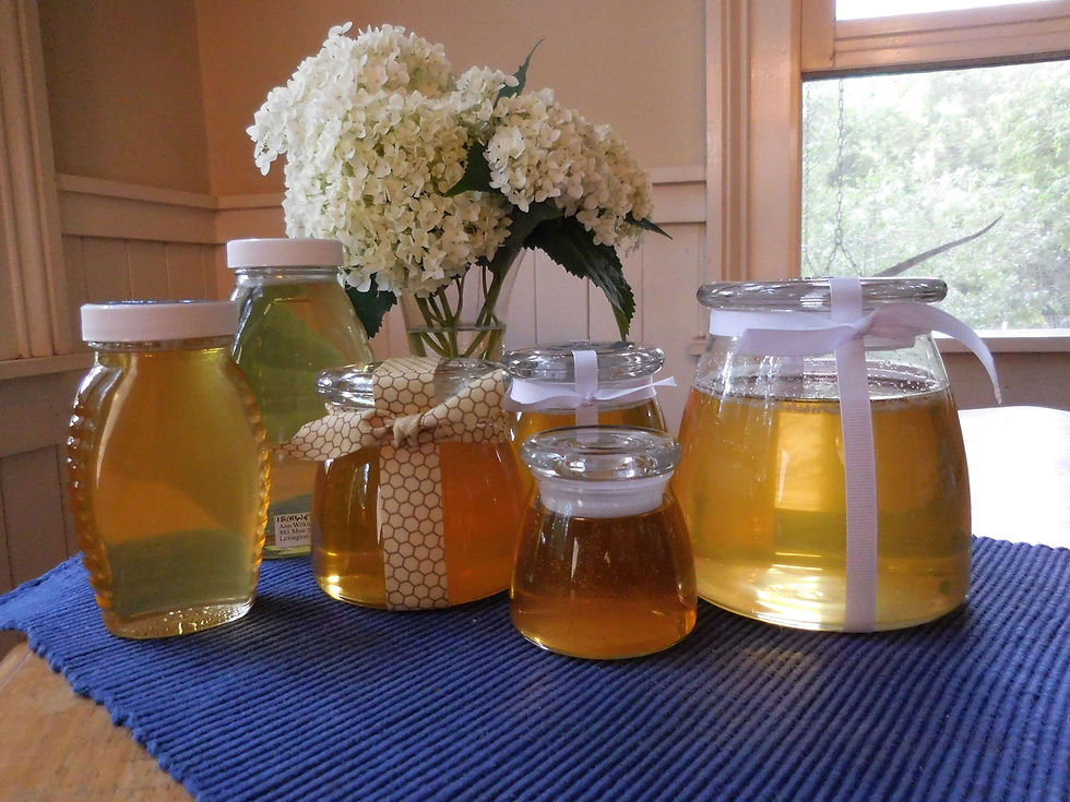 Spring Honey, 1 lb. gift jar