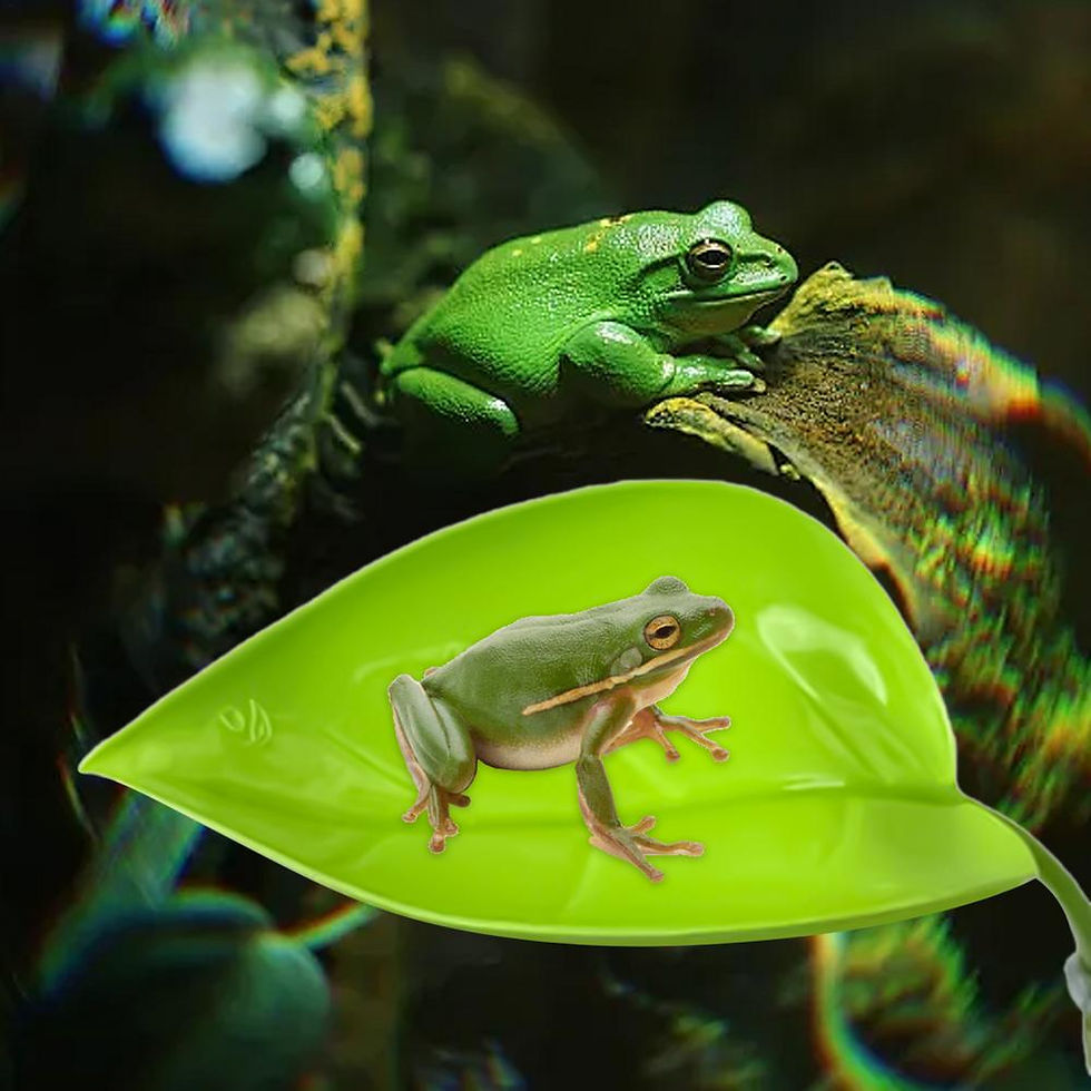 Miniatura: Frog Habitat Leaf Suction Cup Reptile Basking Area Resting Terrace Suction Cups 