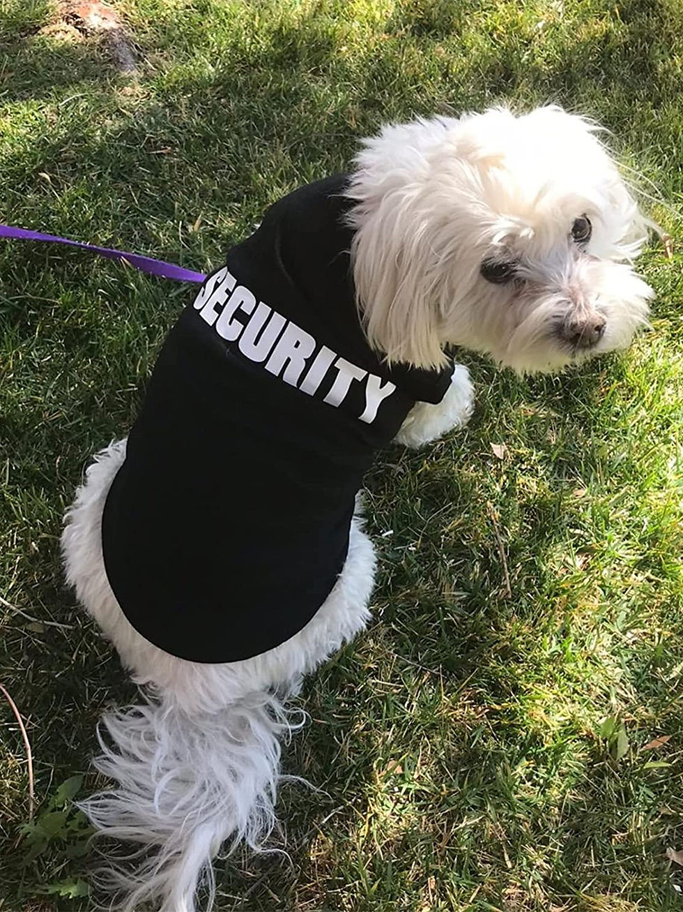 Thumbnail: Pet Security Vest