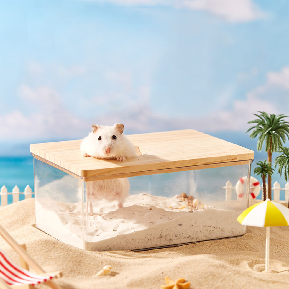 Thumbnail: Hamster Bathroom House Clear Hamster Sand Box Bathtub Bathroom Toilet Small Pet 