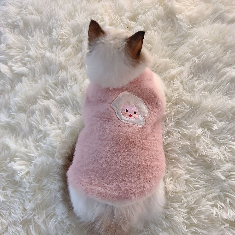 Miniatura: Cute Cat Sweater