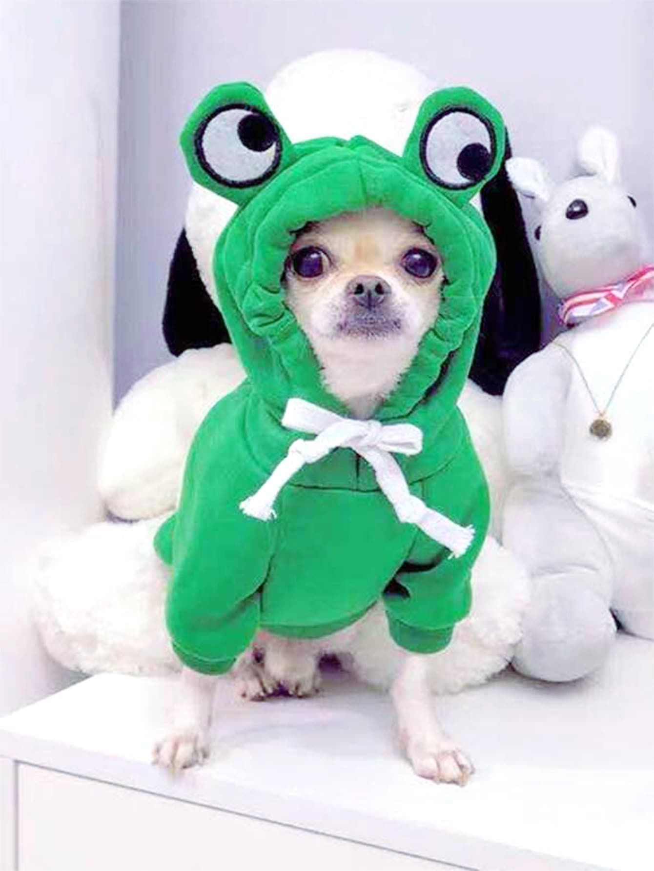 Frog Dog Costume