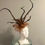 Thumbnail: Kentucky Derby Fascinator (Light Brown) “Cinnamon Swirly”