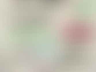 Handle Your Bag! with the last 2 FREE FINANCIAL LITERACY classes of this year. DEC. 5th & Dec.19th