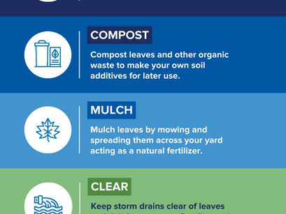 WHY SHOULD YOU ADOPT A DRAIN
