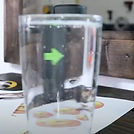 75 Water Illusions.jpg