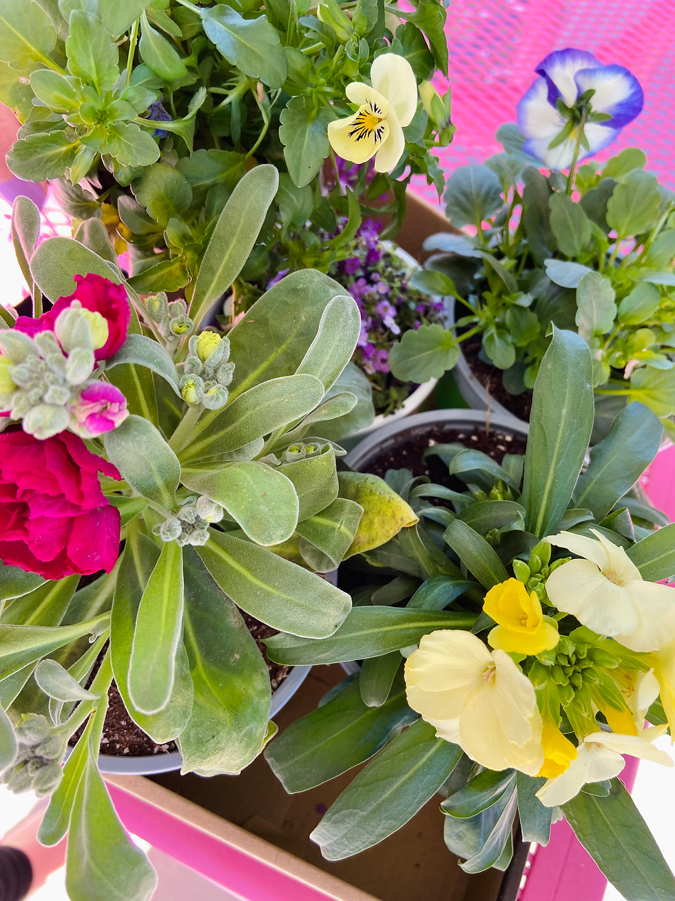 Thumbnail: Beautiful Blooms - Kids & Adults Alcohol Inks Pot Workshop