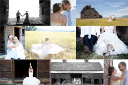 Caudill TTD collage1 CCI smaller