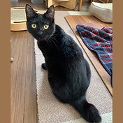 IMG_6156 2_edited.jpg