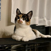 IMG_6156 2_edited.jpg