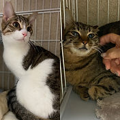 IMG_6156 2_edited.jpg