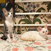 IMG_6156 2_edited.jpg