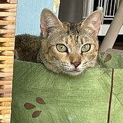 IMG_6156 2_edited.jpg