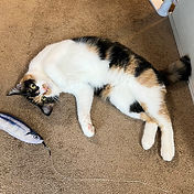 IMG_6156 2_edited.jpg