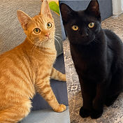 IMG_6156 2_edited.jpg