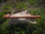 DSCN0798.jpg