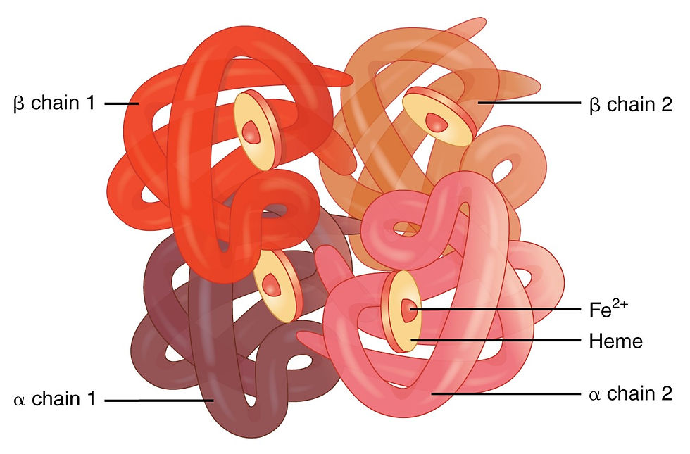 ree