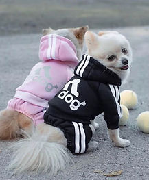 Roupinha de Pet Fofas - 01.jpeg