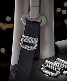 Carro de Paty - 03.jpeg