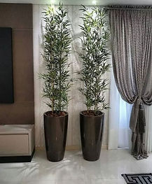 Decoração da Casa P2 - 13.jpeg