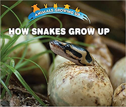 Snakes