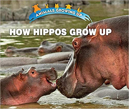Hippos